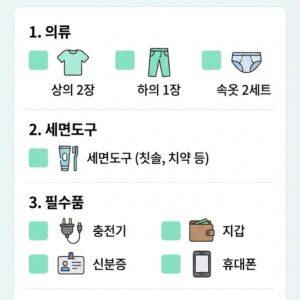 설날 당일 저녁 15분 안에 완성하는 긴급 짐싸기 체크리스트 - 의류·세면도구·전자기기·신분증·간식 필수 항목 정리