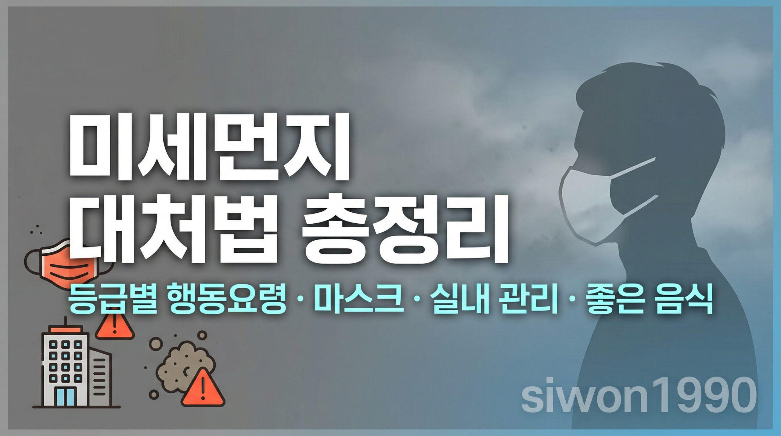 미세먼지 대처법 등급별 행동요령 마스크 실내관리 좋은음식 총정리 썸네일
