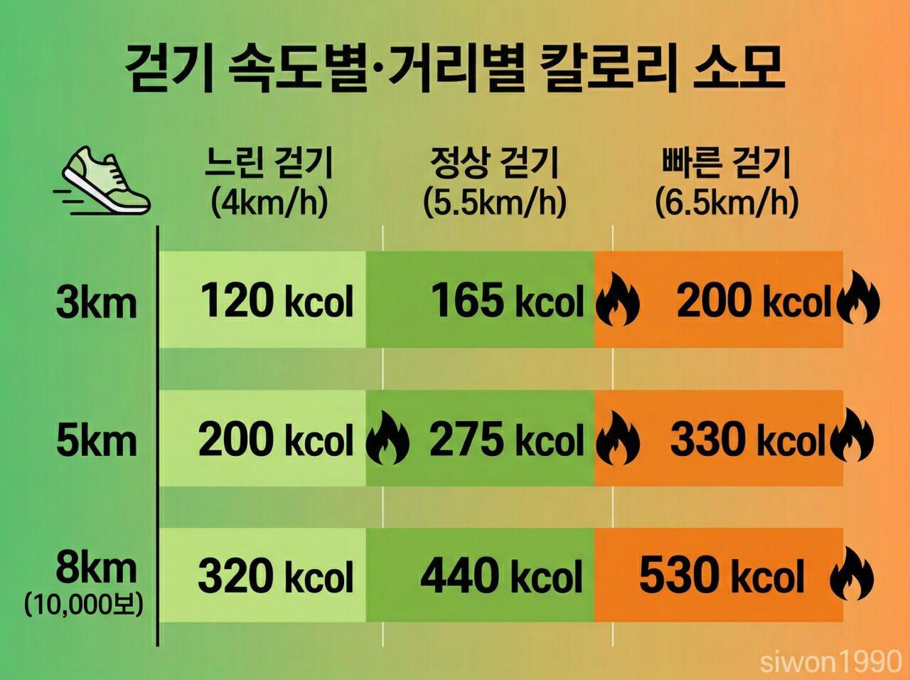 걷기 운동 속도별 거리별 칼로리 소모 비교 차트