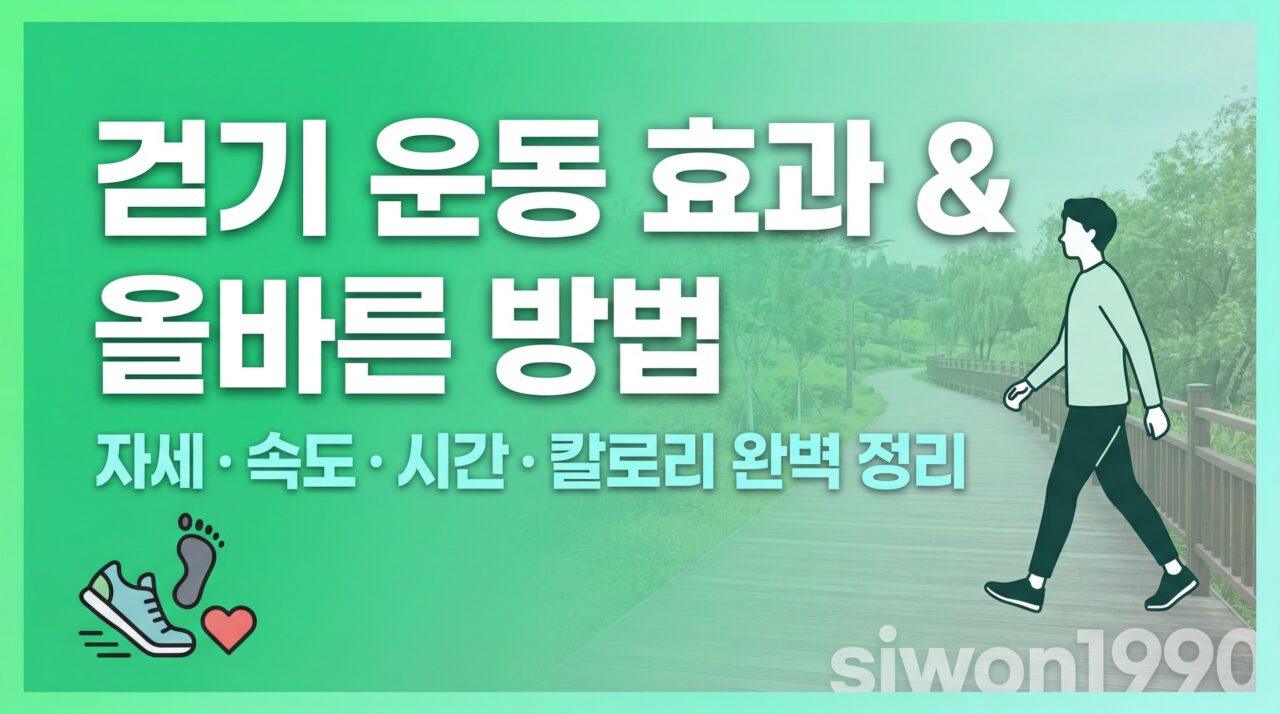 걷기 운동 효과 & 올바른 방법 | 자세, 속도, 시간, 칼로리까지 완벽 정리