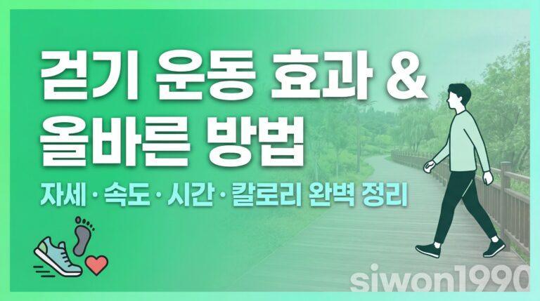 걷기 운동 효과 올바른 방법 자세 속도 시간 칼로리 총정리 썸네일