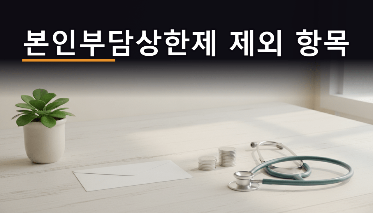 본인부담상한제 제외 항목 | 환급금 0원인 이유 (2026)